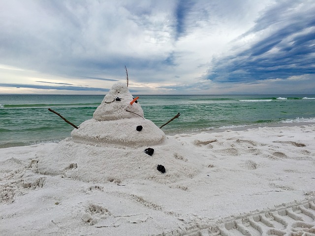 sněhulák na pláži