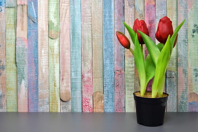 umělé tulipány